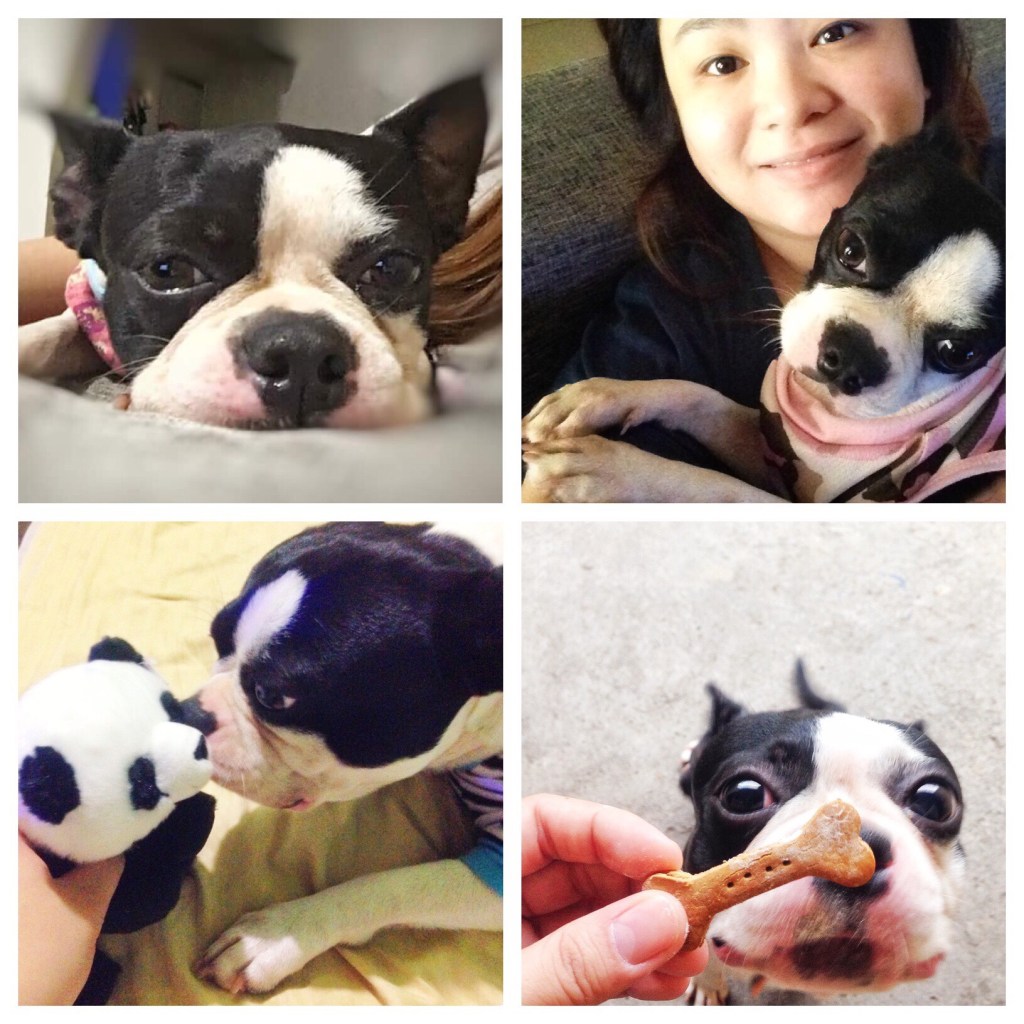 I Miss You,&nbsp;Chelsea