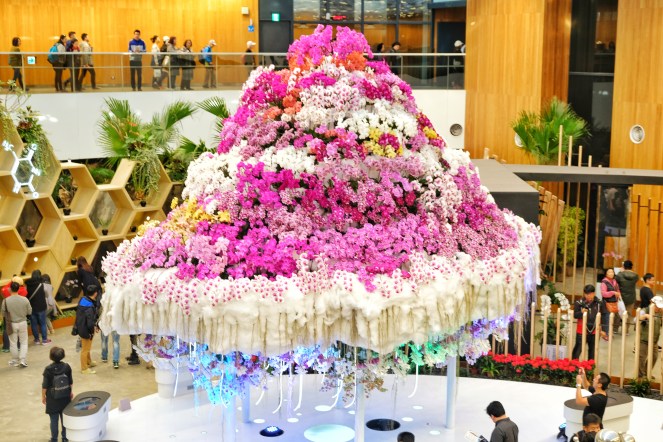 Orchids in the Cloud 